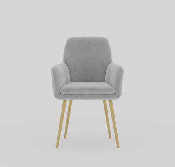 Living Room Armchair