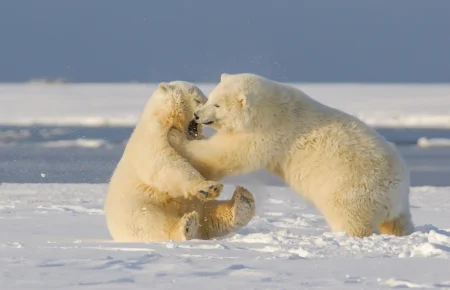 Nature Offers Endless Beauty, Peace, and Outdoor Recreation