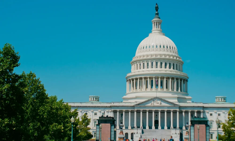 Protests Break Out in the City Center, Sparking Widespread Chaos