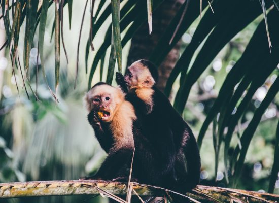 Taking Control Of Your Daily Life Is Easy When You Know How!